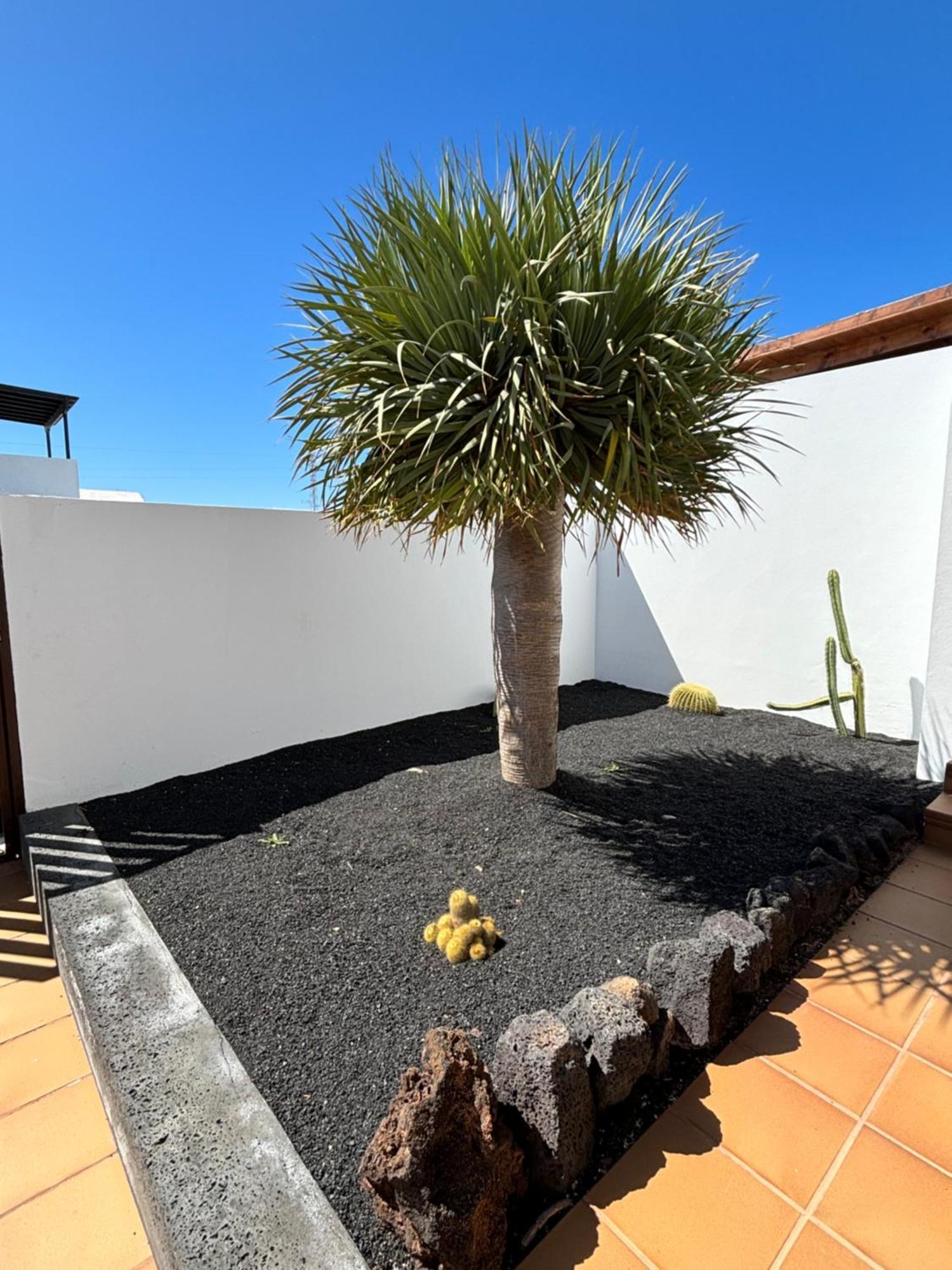 Rincon Oasis Nazaret Villa Dış mekan fotoğraf