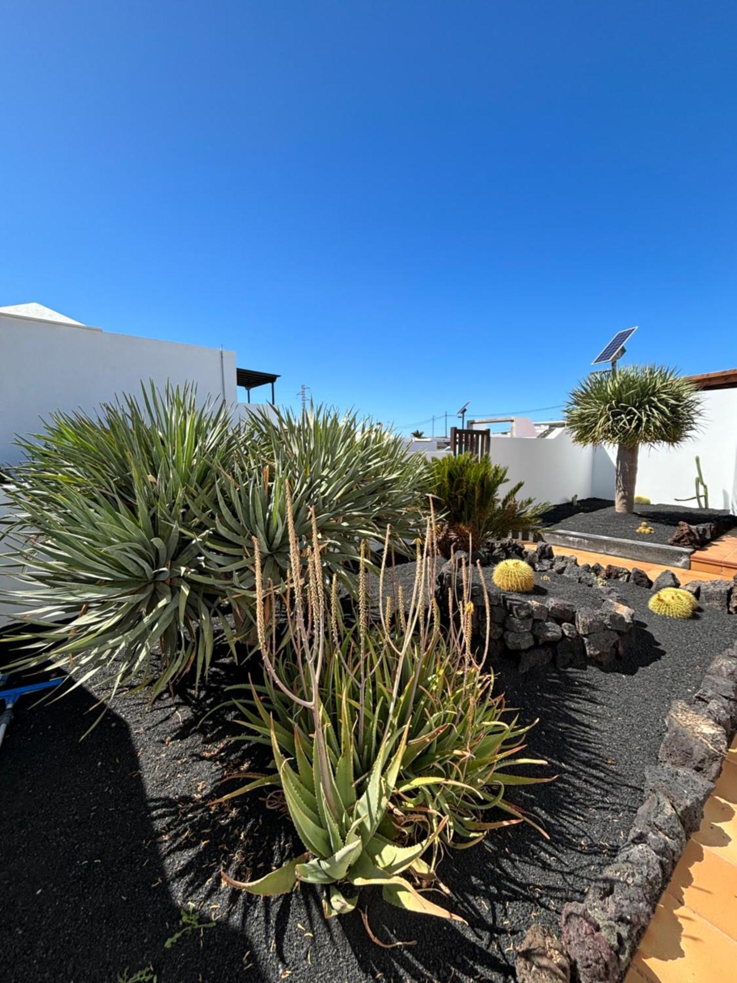Rincon Oasis Nazaret Villa Dış mekan fotoğraf